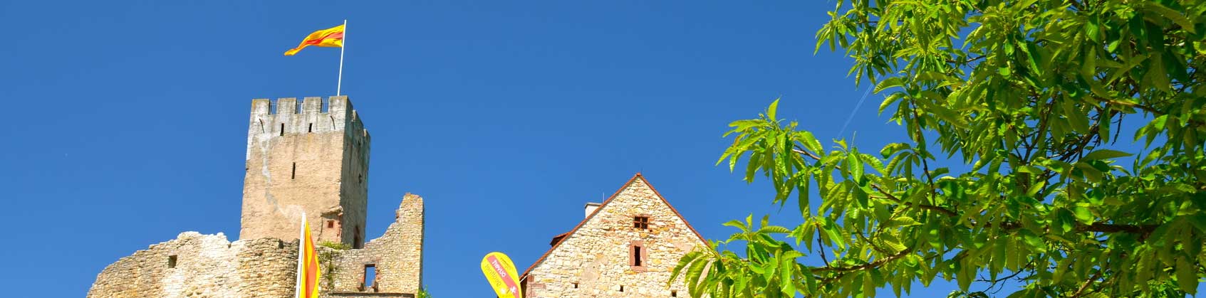 Presseverteiler Lörrach